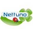 Nettuno